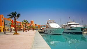 Yachts docked in a vibrant marina with palm trees, showcasing a sunny waterfront scene in Savannah, Georgia, relevant to marine electrical services and yacht maintenance.